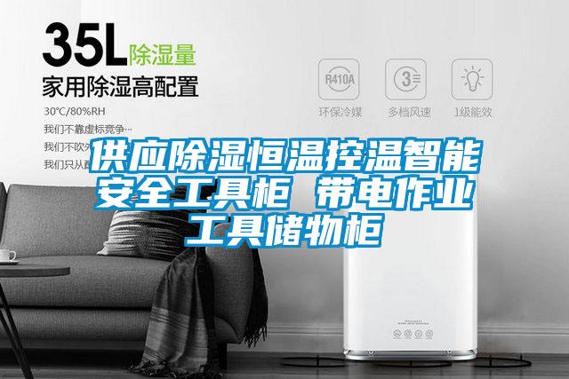 供應(yīng)除濕恒溫控溫智能安全工具柜 帶電作業(yè)工具儲(chǔ)物柜