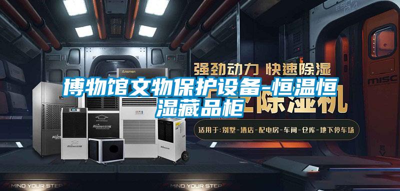 博物館文物保護(hù)設(shè)備-恒溫恒濕藏品柜