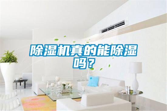 除濕機(jī)真的能除濕嗎？