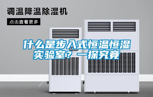 什么是步入式恒溫恒濕實(shí)驗(yàn)室？一探究竟