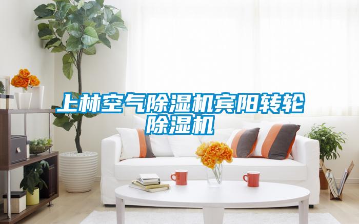 上林空氣除濕機賓陽轉(zhuǎn)輪除濕機