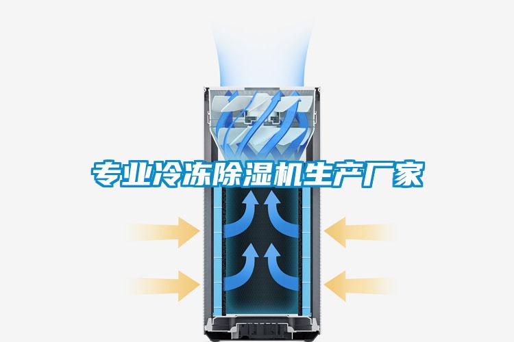 專(zhuān)業(yè)冷凍除濕機(jī)生產(chǎn)廠家