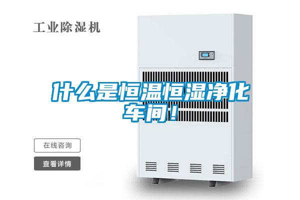 什么是恒溫恒濕凈化車間！