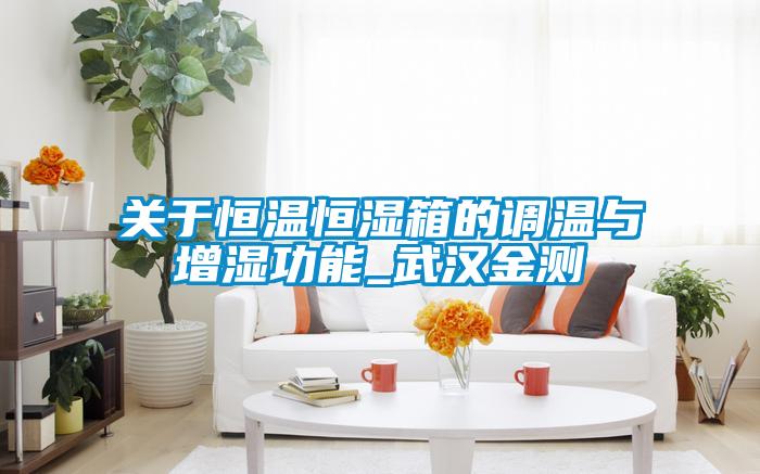 關(guān)于恒溫恒濕箱的調(diào)溫與增濕功能_武漢金測(cè)
