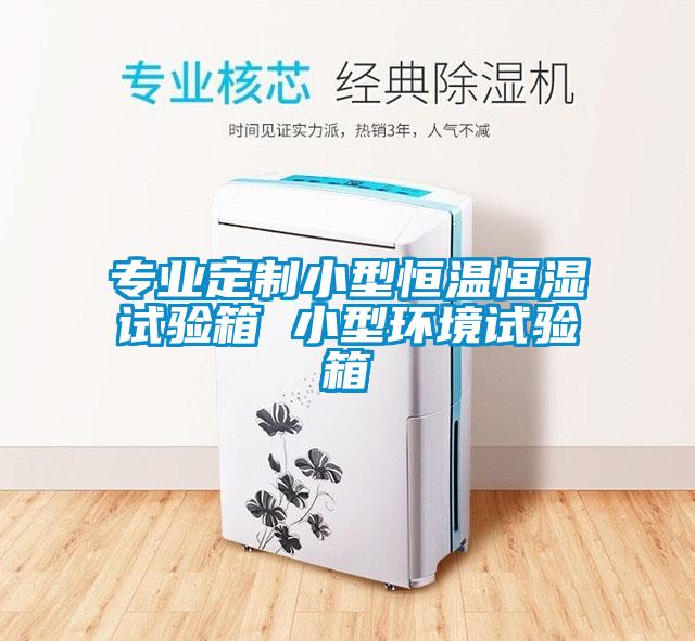 專業(yè)定制小型恒溫恒濕試驗箱 小型環(huán)境試驗箱