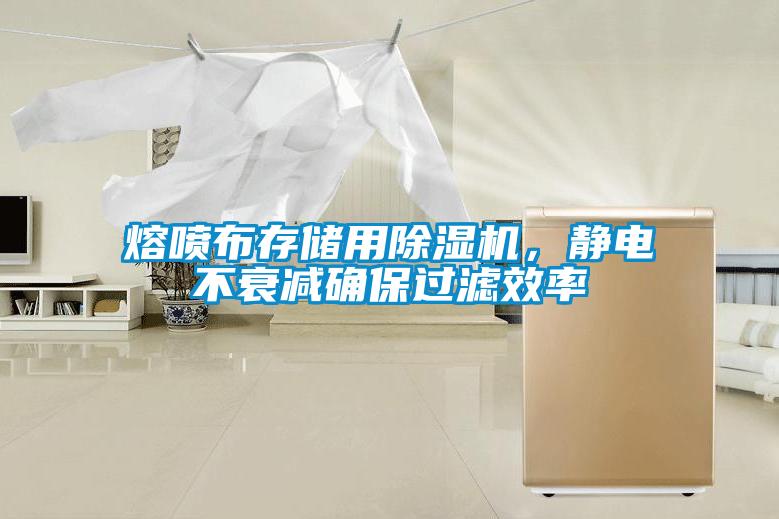 熔噴布存儲(chǔ)用除濕機(jī)，靜電不衰減確保過(guò)濾效率