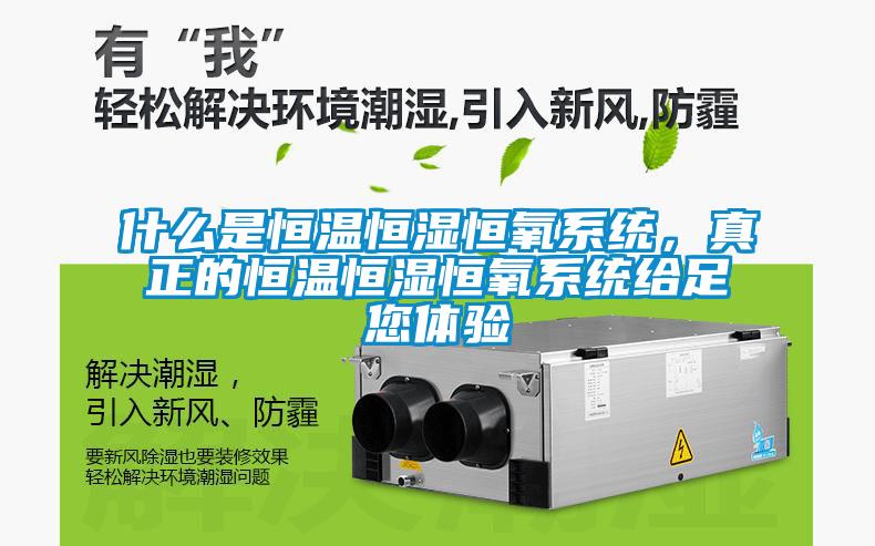 什么是恒溫恒濕恒氧系統(tǒng)，真正的恒溫恒濕恒氧系統(tǒng)給足您體驗(yàn)