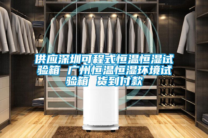 供應(yīng)深圳可程式恒溫恒濕試驗(yàn)箱 廣州恒溫恒濕環(huán)境試驗(yàn)箱 貨到付款