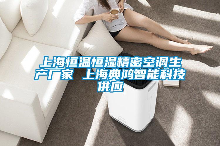上海恒溫恒濕精密空調(diào)生產(chǎn)廠家 上海典鴻智能科技供應(yīng)