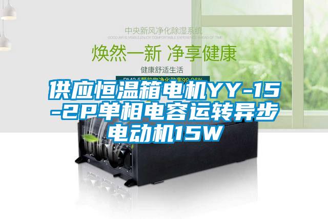 供應(yīng)恒溫箱電機(jī)YY-15-2P單相電容運(yùn)轉(zhuǎn)異步電動(dòng)機(jī)15W