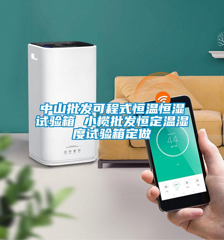 中山批發(fā)可程式恒溫恒濕試驗箱 小欖批發(fā)恒定溫濕度試驗箱定做