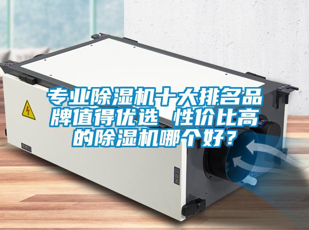 專(zhuān)業(yè)除濕機(jī)十大排名品牌值得優(yōu)選 性?xún)r(jià)比高的除濕機(jī)哪個(gè)好？
