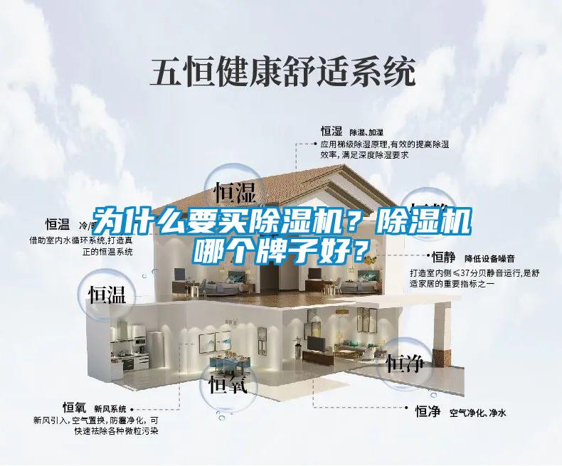 為什么要買除濕機？除濕機哪個牌子好？