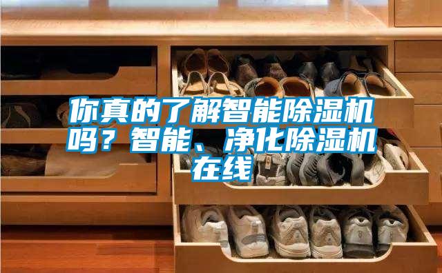 你真的了解智能除濕機嗎？智能、凈化除濕機在線