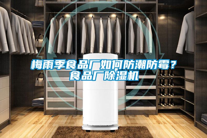 梅雨季食品廠如何防潮防霉？食品廠除濕機(jī)