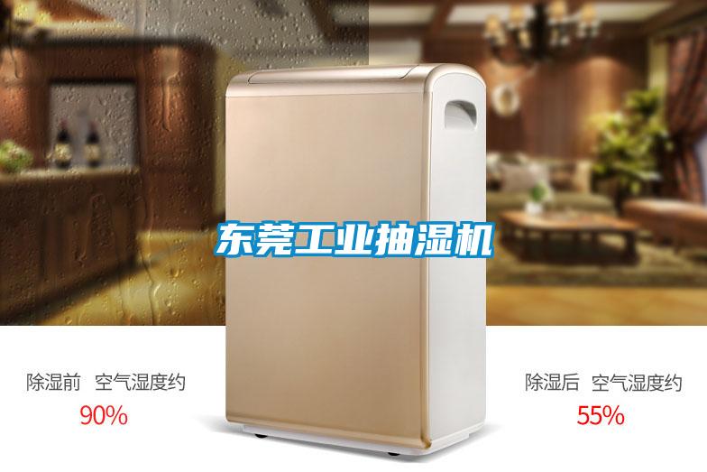 東莞工業(yè)抽濕機(jī)