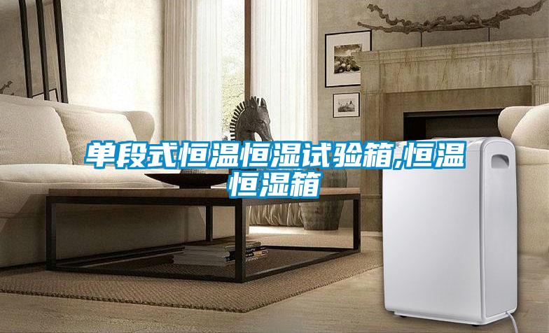 單段式恒溫恒濕試驗(yàn)箱,恒溫恒濕箱