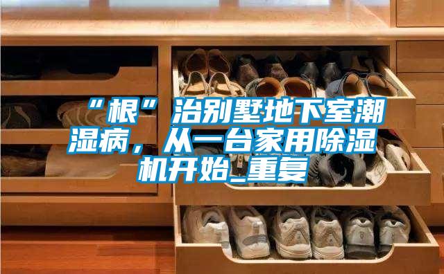 “根”治別墅地下室潮濕病，從一臺(tái)家用除濕機(jī)開(kāi)始_重復(fù)
