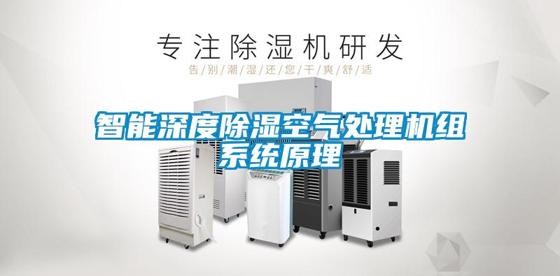 智能深度除濕空氣處理機(jī)組系統(tǒng)原理