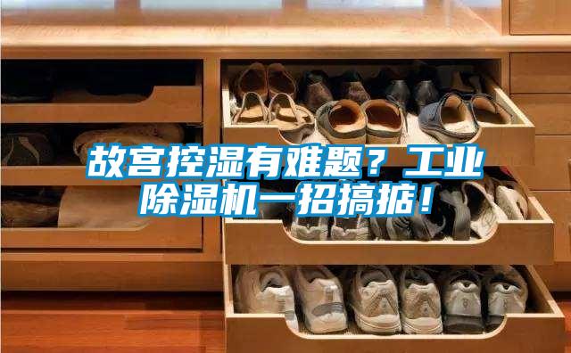 故宮控濕有難題？工業(yè)除濕機(jī)一招搞掂！