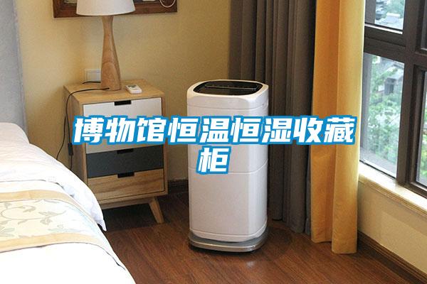 博物館恒溫恒濕收藏柜