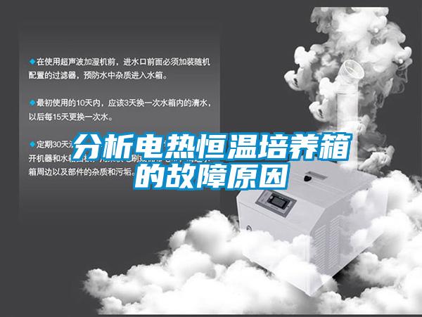 分析電熱恒溫培養(yǎng)箱的故障原因