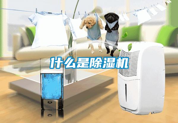 什么是除濕機(jī)