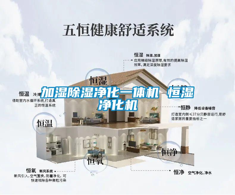 加濕除濕凈化一體機 恒濕凈化機