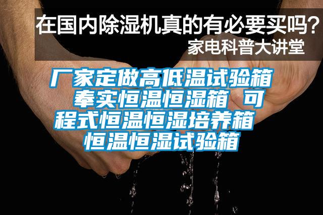 廠家定做高低溫試驗(yàn)箱 奉實(shí)恒溫恒濕箱 可程式恒溫恒濕培養(yǎng)箱 恒溫恒濕試驗(yàn)箱