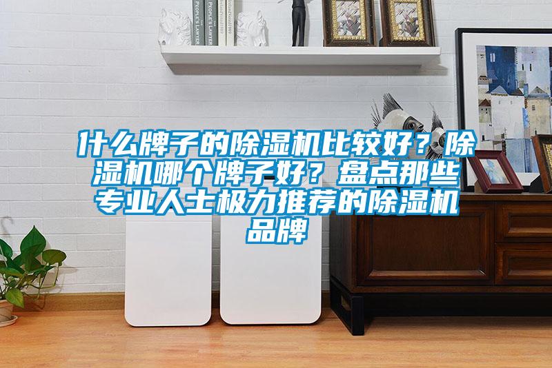 什么牌子的除濕機比較好？除濕機哪個牌子好？盤點那些專業(yè)人士極力推薦的除濕機品牌