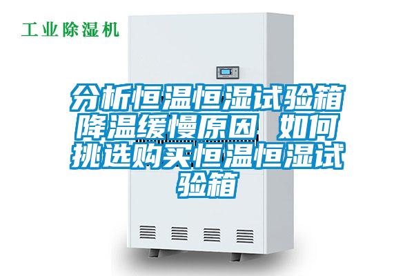 分析恒溫恒濕試驗箱降溫緩慢原因 如何挑選購買恒溫恒濕試驗箱