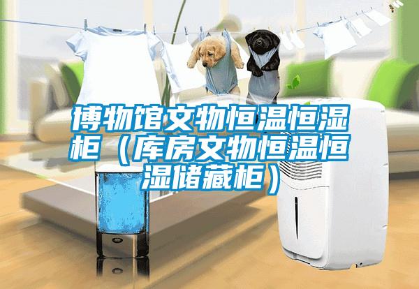 博物館文物恒溫恒濕柜（庫(kù)房文物恒溫恒濕儲(chǔ)藏柜）