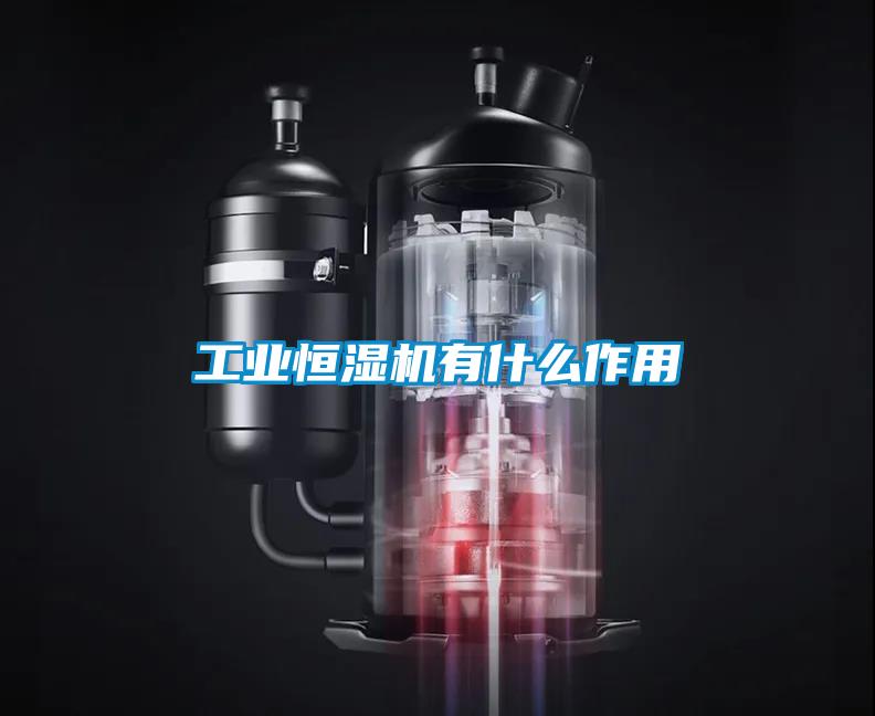 工業(yè)恒濕機有什么作用