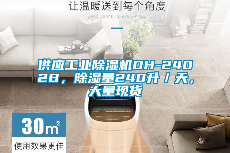 供應(yīng)工業(yè)除濕機(jī)DH-2402B，除濕量240升／天，大量現(xiàn)貨