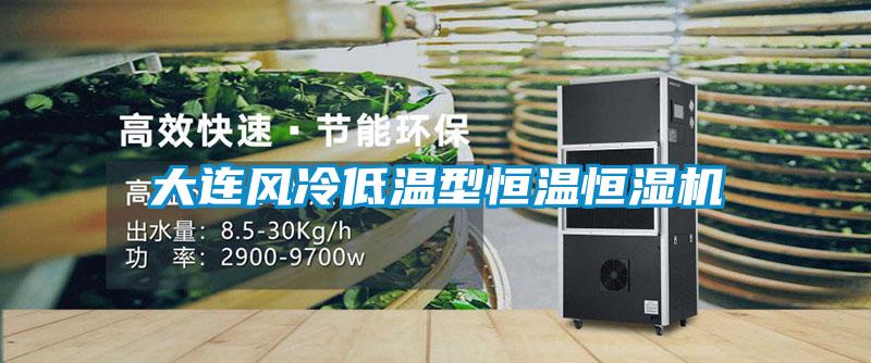 大連風冷低溫型恒溫恒濕機