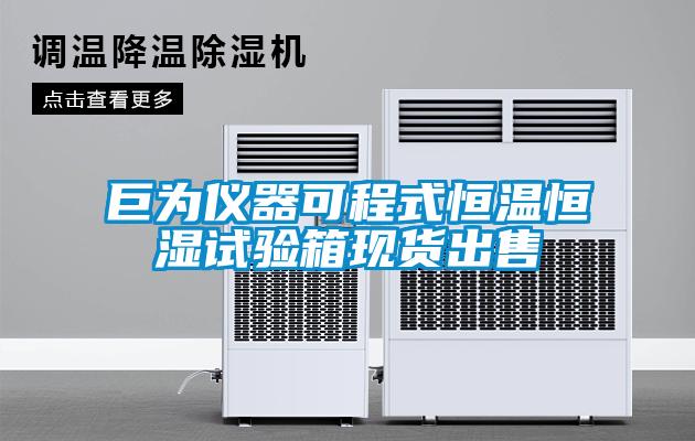 巨為儀器可程式恒溫恒濕試驗(yàn)箱現(xiàn)貨出售