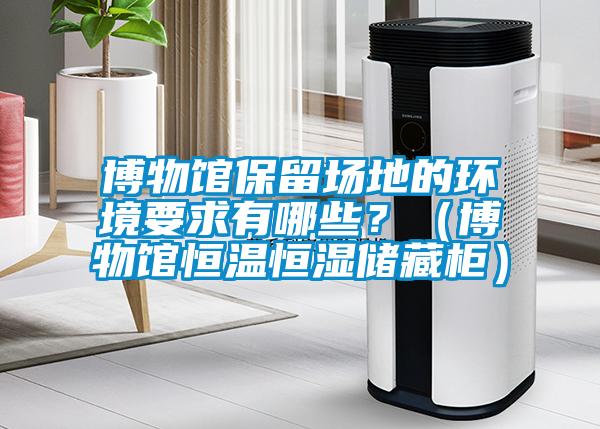 博物館保留場(chǎng)地的環(huán)境要求有哪些？（博物館恒溫恒濕儲(chǔ)藏柜）