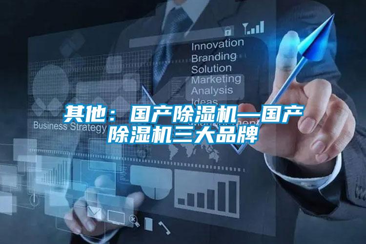 其他：國產(chǎn)除濕機(jī)—國產(chǎn)除濕機(jī)三大品牌