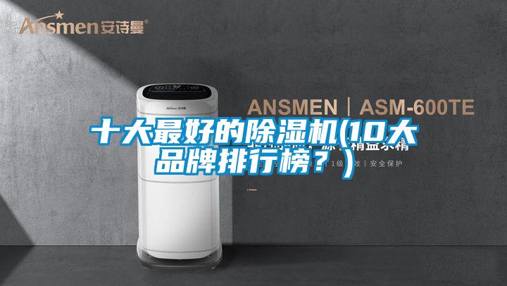 十大最好的除濕機(jī)(10大品牌排行榜？)