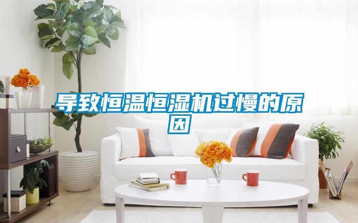 導(dǎo)致恒溫恒濕機(jī)過(guò)慢的原因