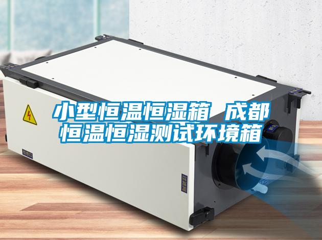 小型恒溫恒濕箱 成都恒溫恒濕測試環(huán)境箱