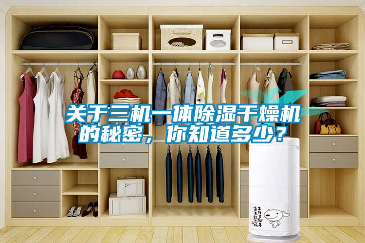 關于三機一體除濕干燥機的秘密，你知道多少？