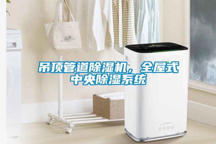 吊頂管道除濕機(jī)，全屋式中央除濕系統(tǒng)