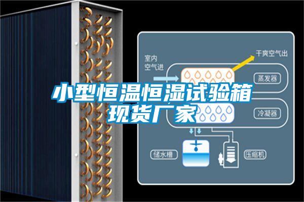 小型恒溫恒濕試驗箱現(xiàn)貨廠家