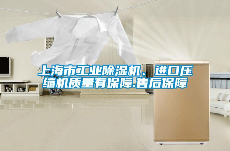 上海市工業(yè)除濕機(jī)、進(jìn)口壓縮機(jī)質(zhì)量有保障.售后保障