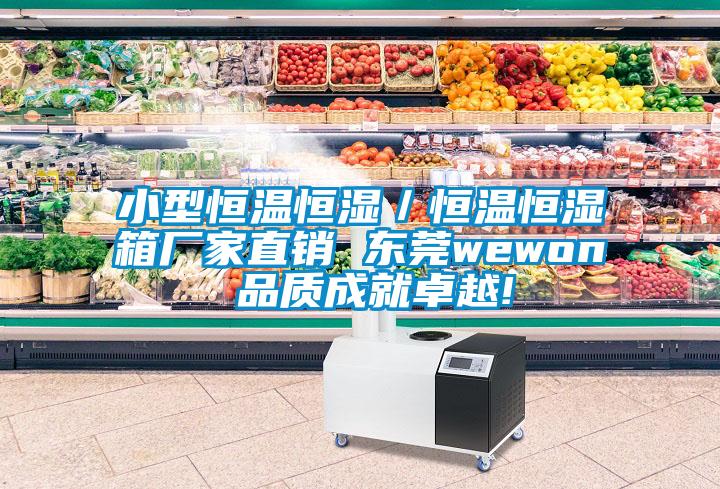 小型恒溫恒濕／恒溫恒濕箱廠家直銷 東莞wewon 品質成就卓越!