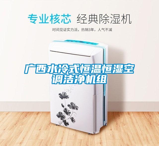廣西水冷式恒溫恒濕空調(diào)潔凈機組