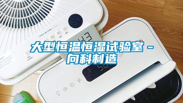 大型恒溫恒濕試驗室－向科制造