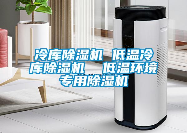 冷庫(kù)除濕機(jī) 低溫冷庫(kù)除濕機(jī)  低溫環(huán)境專用除濕機(jī)