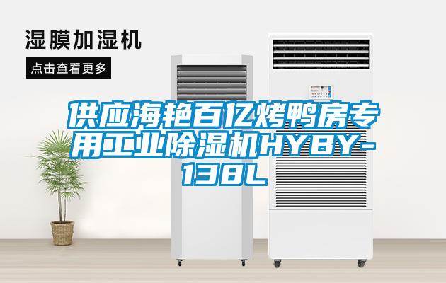 供應海艷百億烤鴨房專用工業(yè)除濕機HYBY-138L